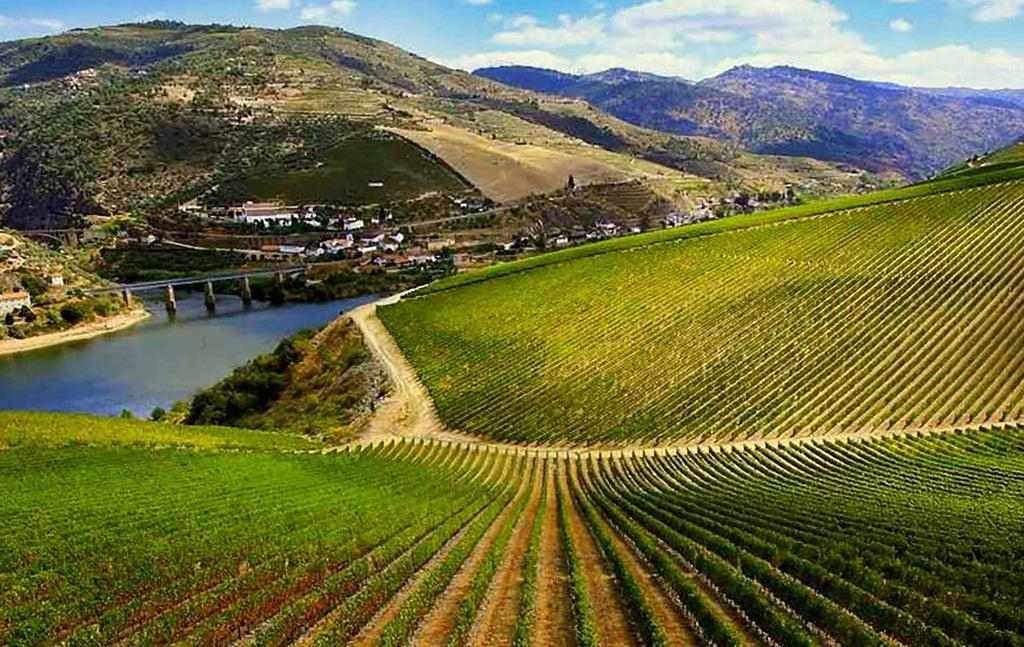 Ruta del vino Ribera del Duero